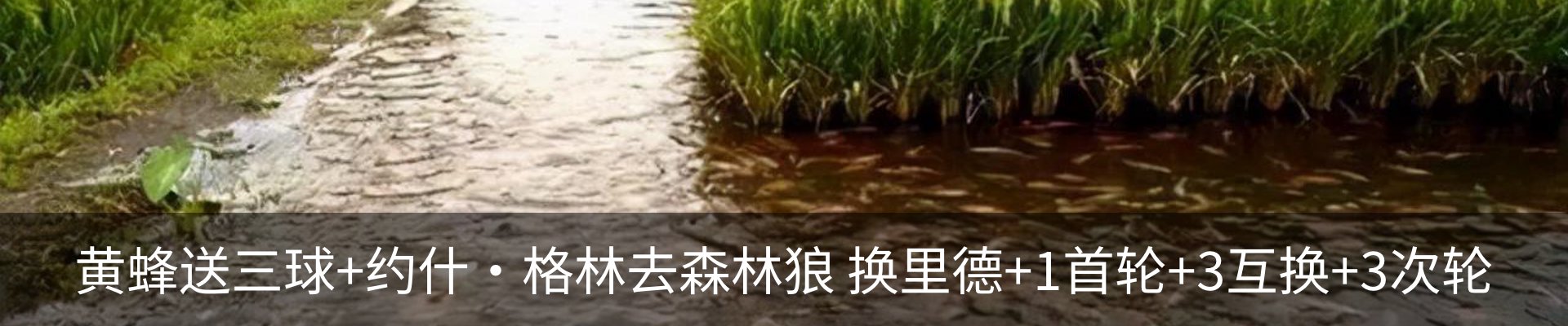 热点资讯